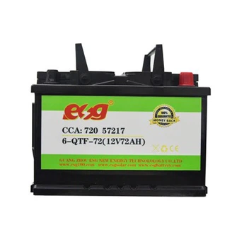 ESG High Performance Lead Acid Car Battery - 12V, 55Ah, 60Ah, 48V, 13V, 100Ah For Consumer Electronics HIGH QUALITY